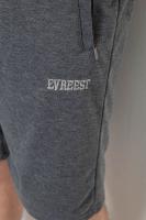 Шорти чоловічі, колір сірий, 244R6348